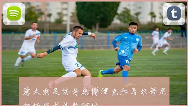 意大利足协考虑博涅克和马尔蒂尼担任技术总监职位